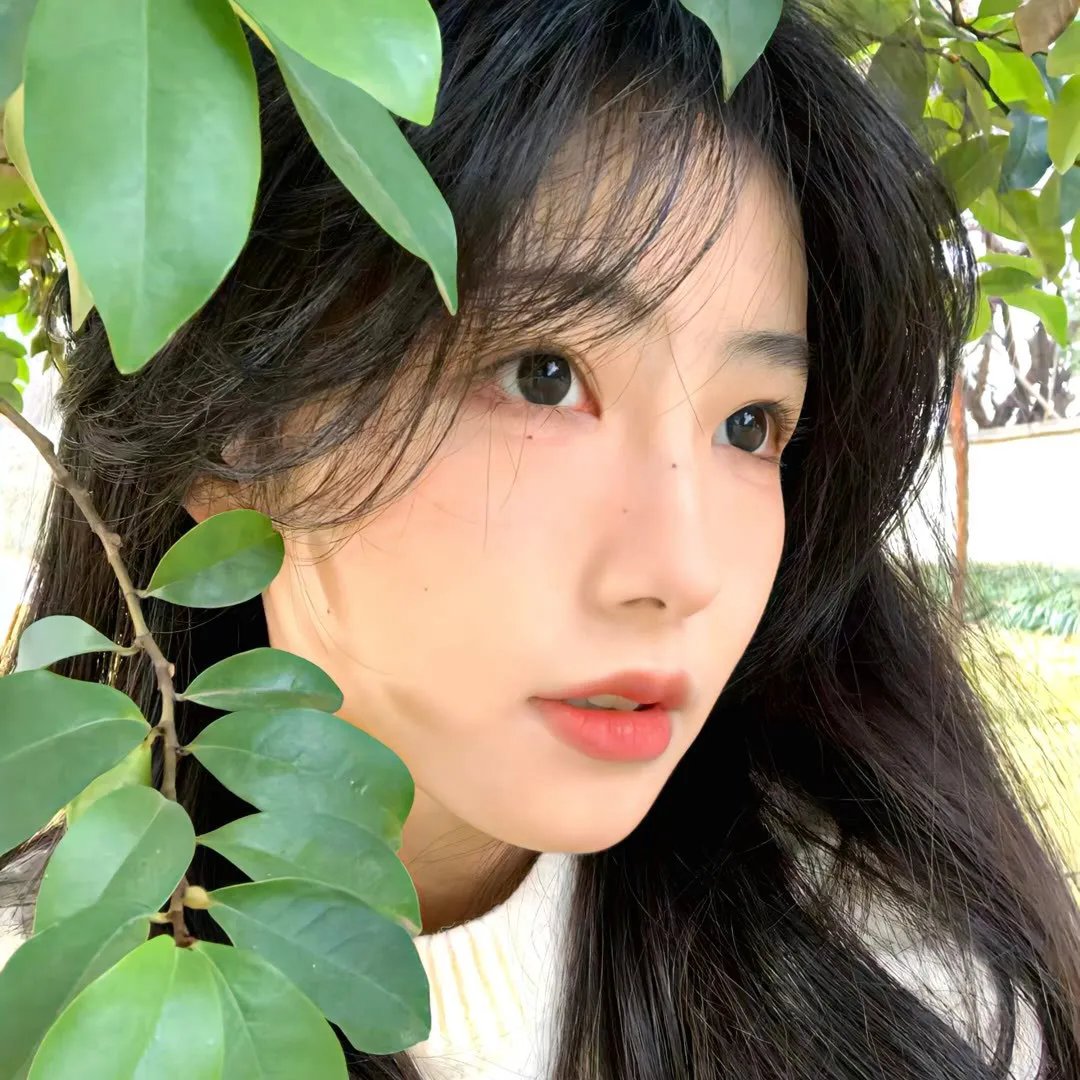 我为楼狂